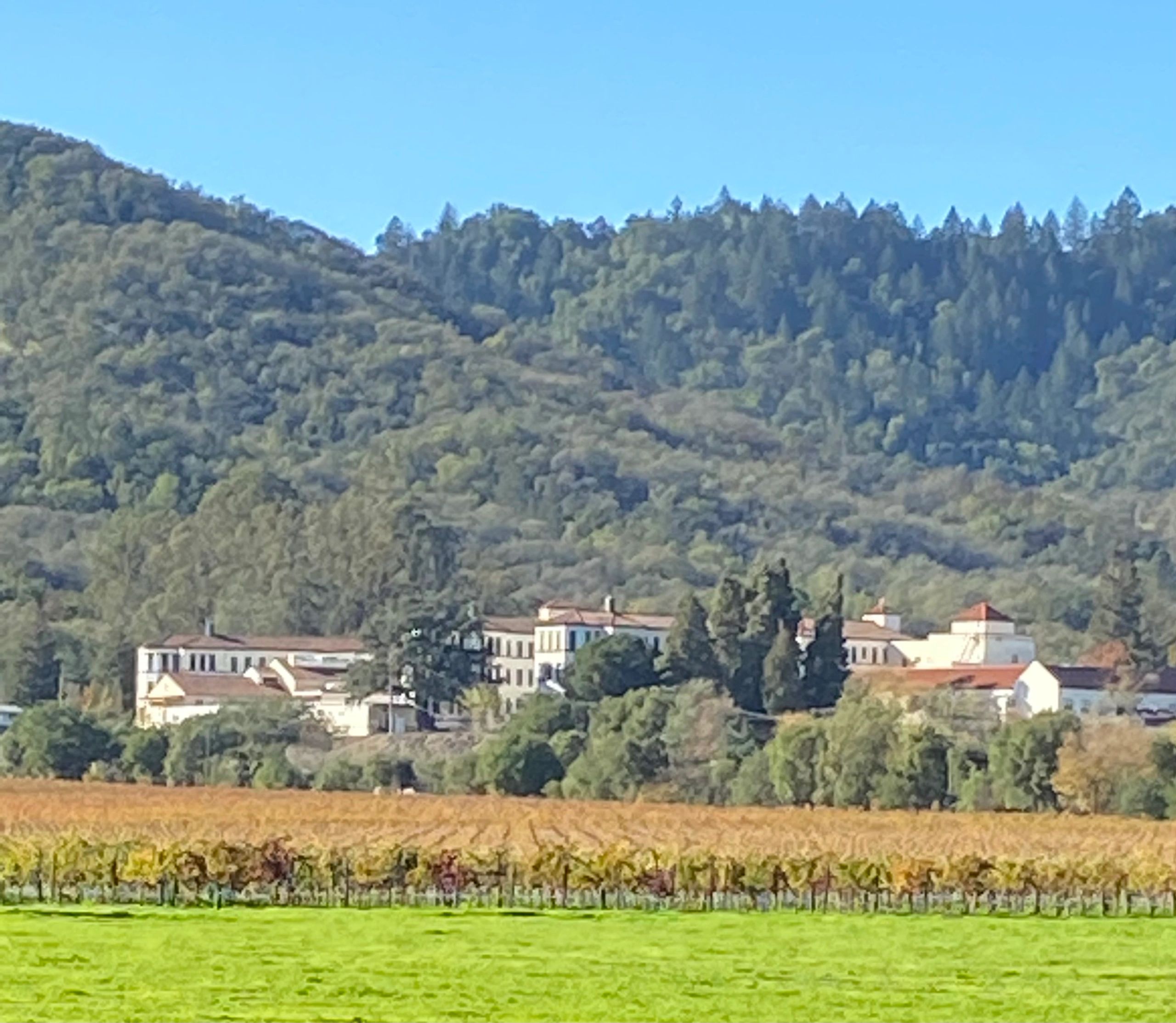 Yountville Veterans Serving Vets NonProfit Serving Veterans at the